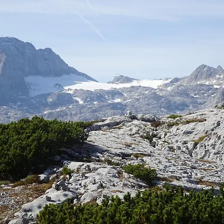 Haus Gruenwald Gosau