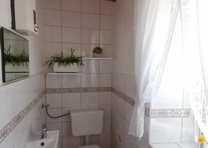 Haus Gruenwald شقة غوساو