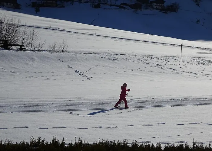 Haus Gruenwald شقة